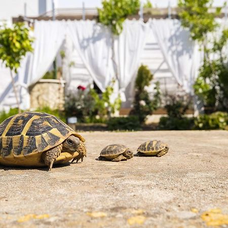 Hotel Abril 37 Ciutadella  Zewnętrze zdjęcie