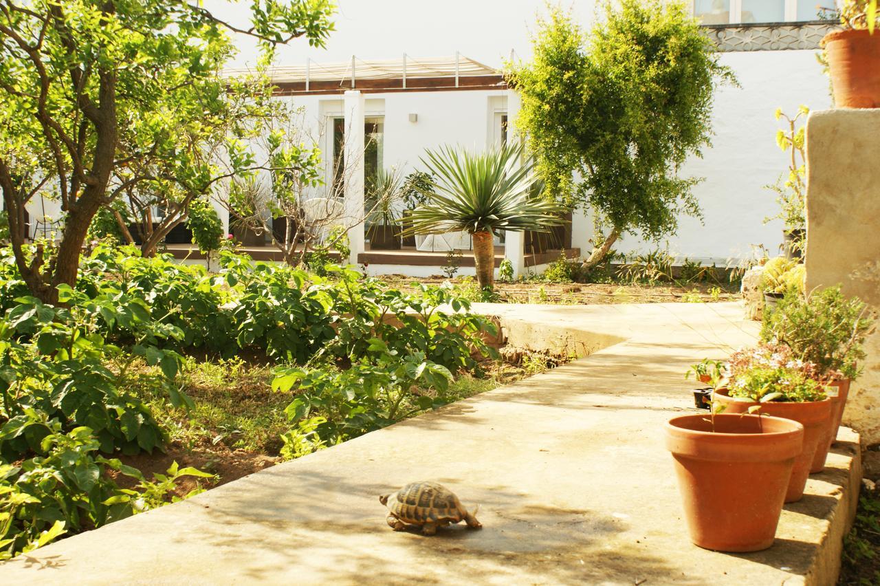 Hotel Abril 37 Ciutadella  Zewnętrze zdjęcie