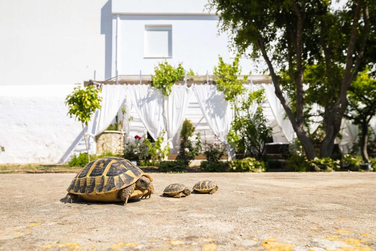 Hotel Abril 37 Ciutadella  Zewnętrze zdjęcie